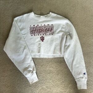 Champion Cream Boxy Cropped Hoodie